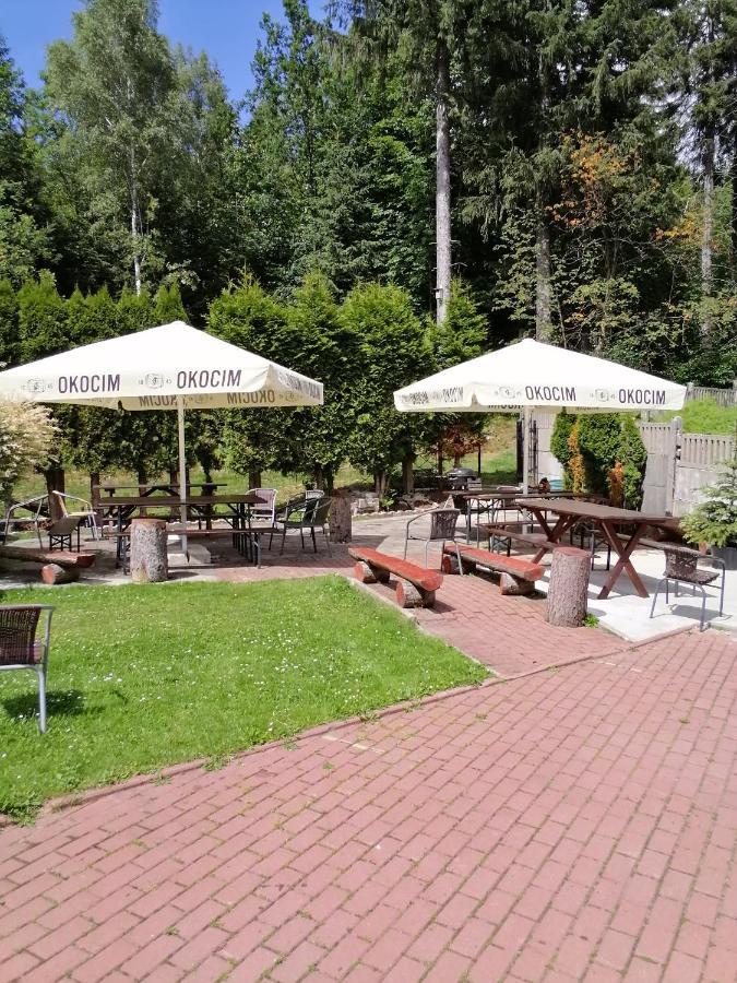 Pasja Bed and Breakfast Świeradów-Zdrój Εξωτερικό φωτογραφία