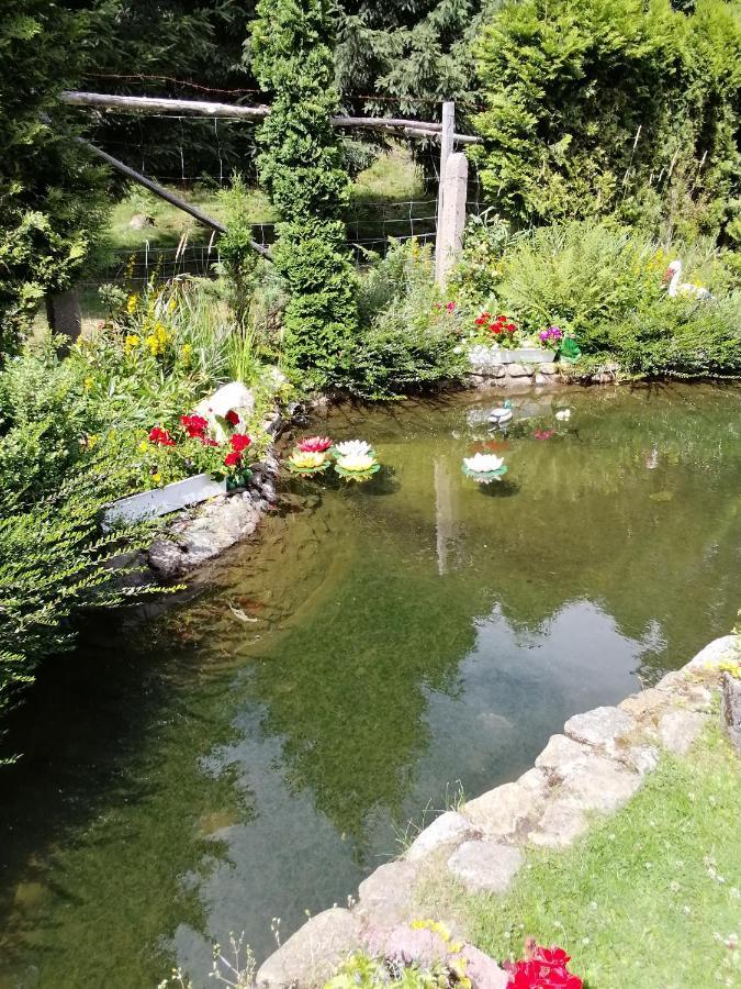 Pasja Bed and Breakfast Świeradów-Zdrój Εξωτερικό φωτογραφία