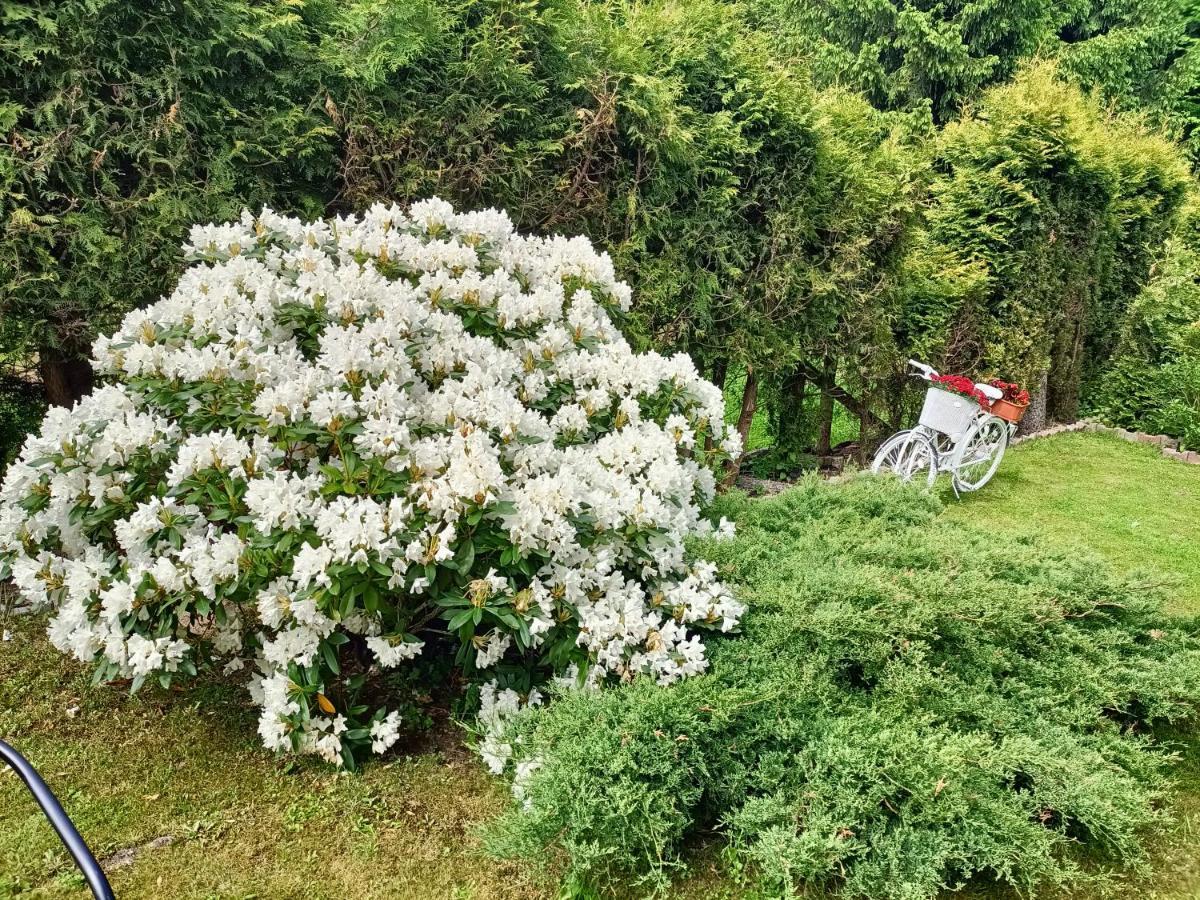 Pasja Bed and Breakfast Świeradów-Zdrój Εξωτερικό φωτογραφία